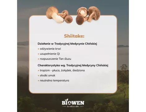 Shiitake 400 mg - 40% polisacharydów, 30% beta-glukanów - 90 kapsułek Biowen - 3